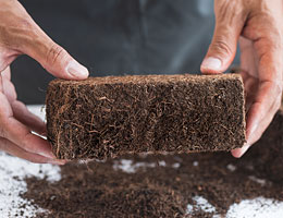 Coir Pith
