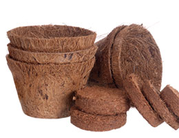 Coir Pots