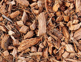 Husk Chips
