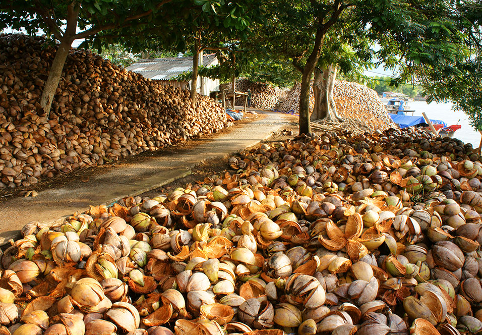 Coir Products Facilities